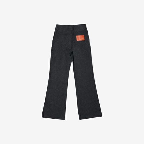 G-FRANCOのレディースジーンズ、HIGH WEST FLARE（ハイウェストフレア）Gray（グレイ）の背面からの全体図