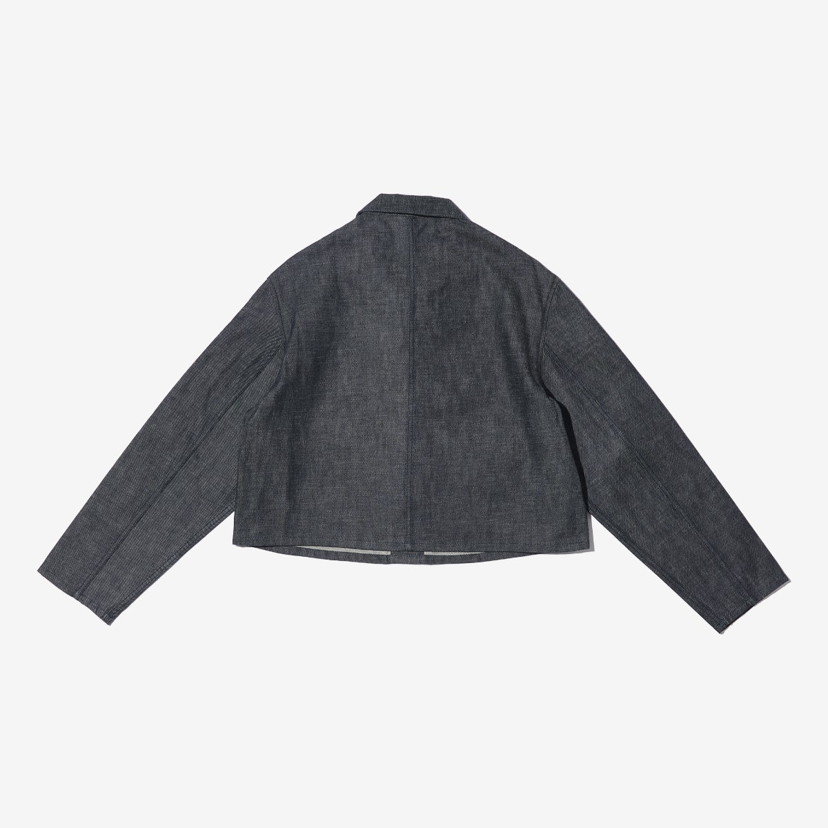 G-FRANCOのレディースデニムジャケット、CERERE（チェレーレ）Black（ブラック）の背面からの全体図